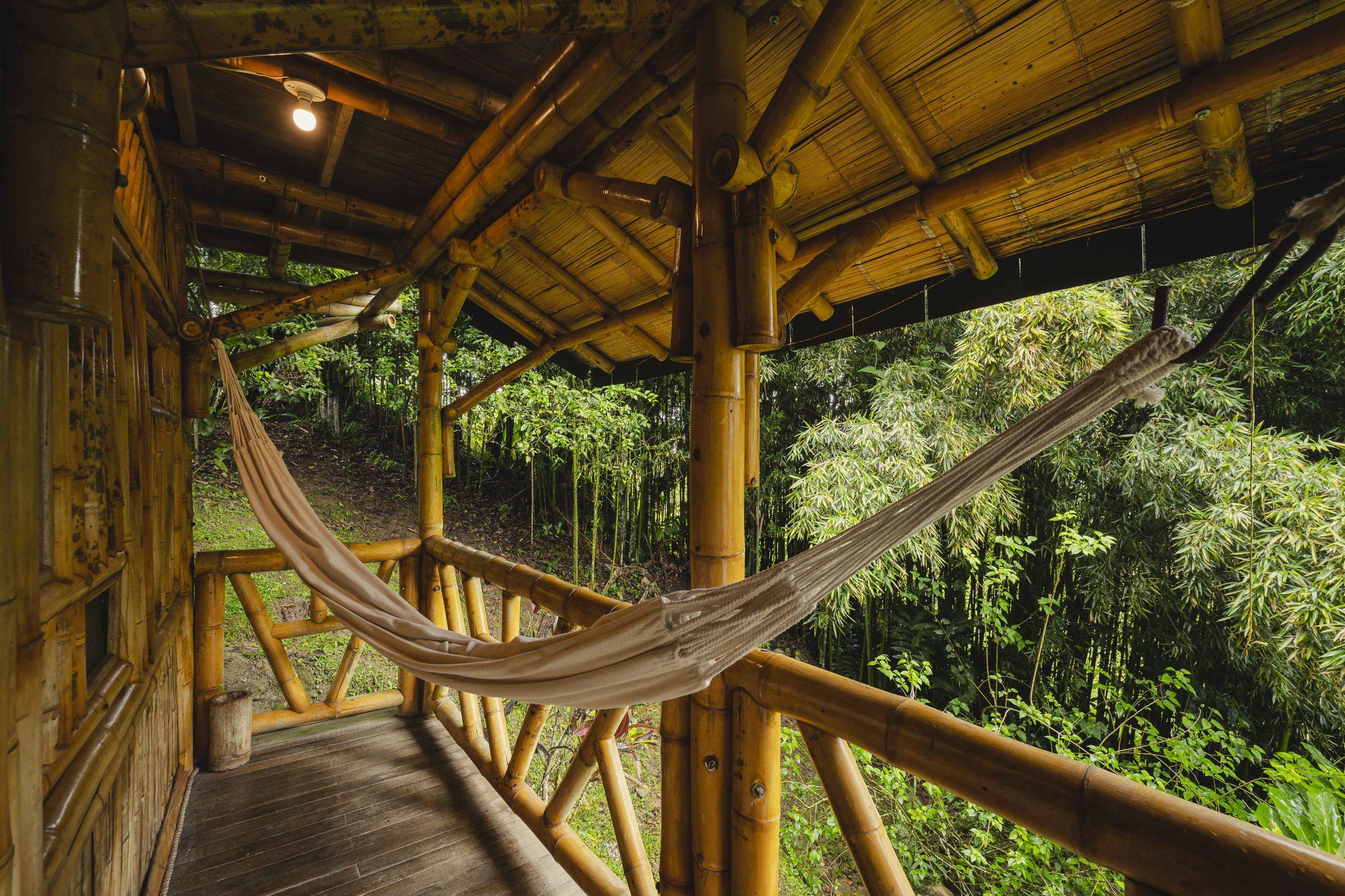 Hammock in a bamboo balcony surrounded by green forest