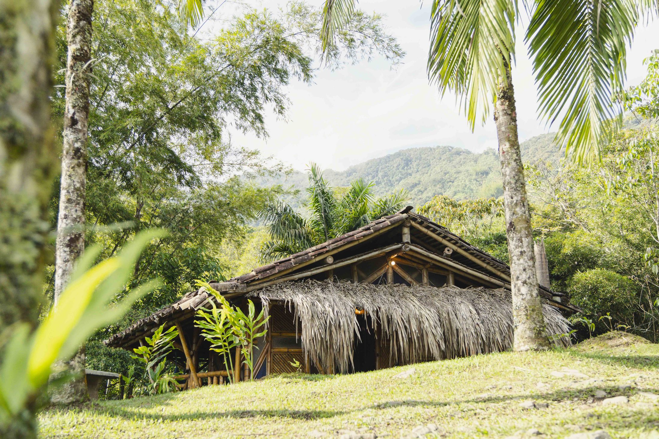 Thatched ceremonial maloca at Tierra de Agua
