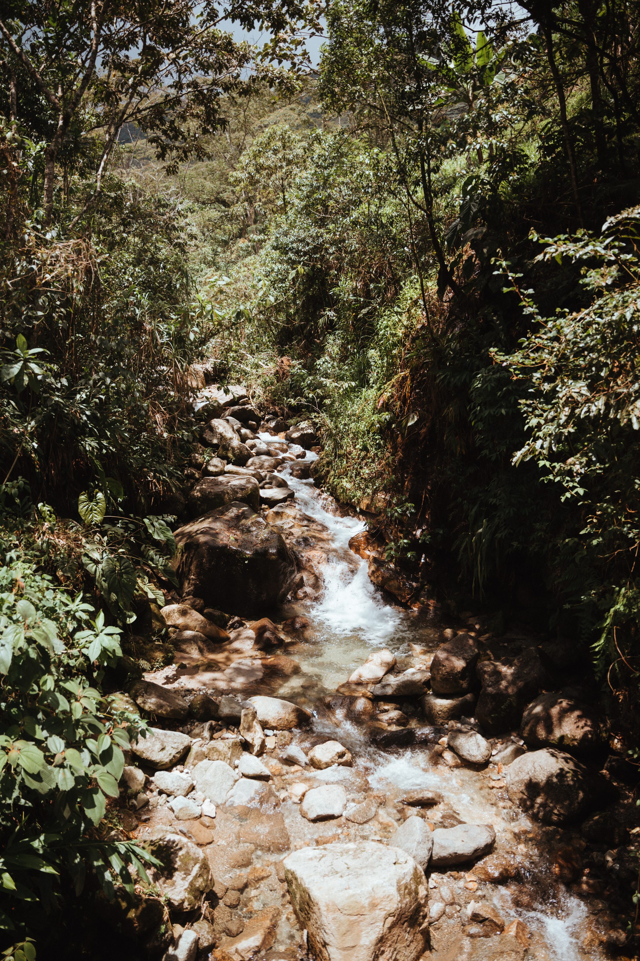 River flowing through the forest at Tierra de Agua
